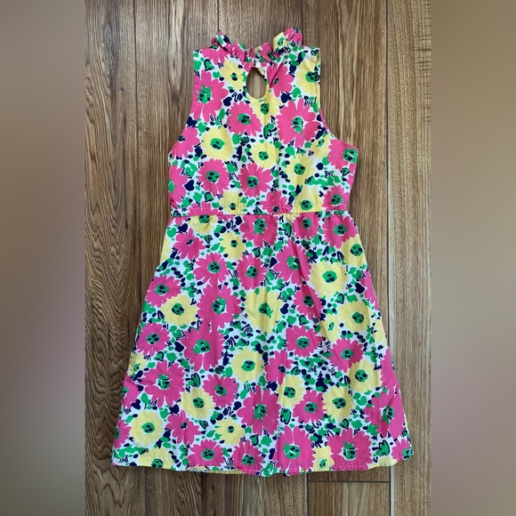 Lilly Pulitzer Dooddle Bug Daisy Dress Girl’s Size 16 Lined - Picture 2 of 7